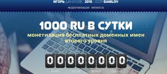 1000 ru в сутки - монетизация бесплатных доменных _0.jpg